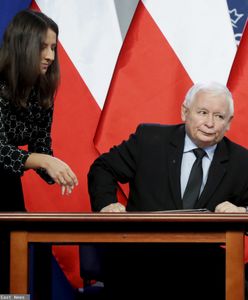 "Koszyk Kaczyńskiego" 10 lat później. To pokazuje prawdziwą skalę inflacji