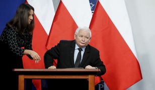 "Koszyk Kaczyńskiego" 10 lat później. To pokazuje prawdziwą skalę inflacji