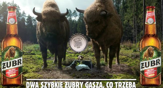 „Dwa szybkie Żubry gaszą co trzeba” w reklamach promocji piwa Żubr (wideo)