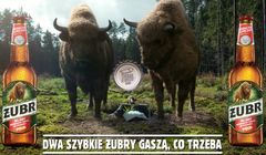 „Dwa szybkie Żubry gaszą co trzeba” w reklamach promocji piwa Żubr (wideo)