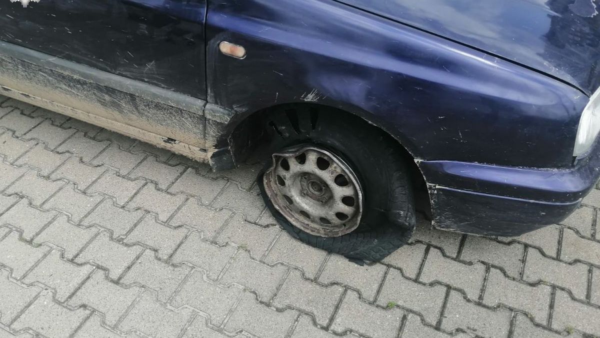 Lubelskie. Porzucił samochód i uciekł boso. Wziął tylko psa ze sobą