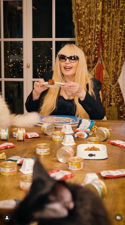 Maryla Rodowicz została twarzą karmy dla kotów 
