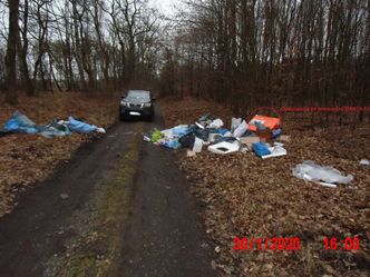 Kartony, styropian, folie. Ponad 4 tys. zł kary za zaśmiecanie Puszczy Niepołomickiej