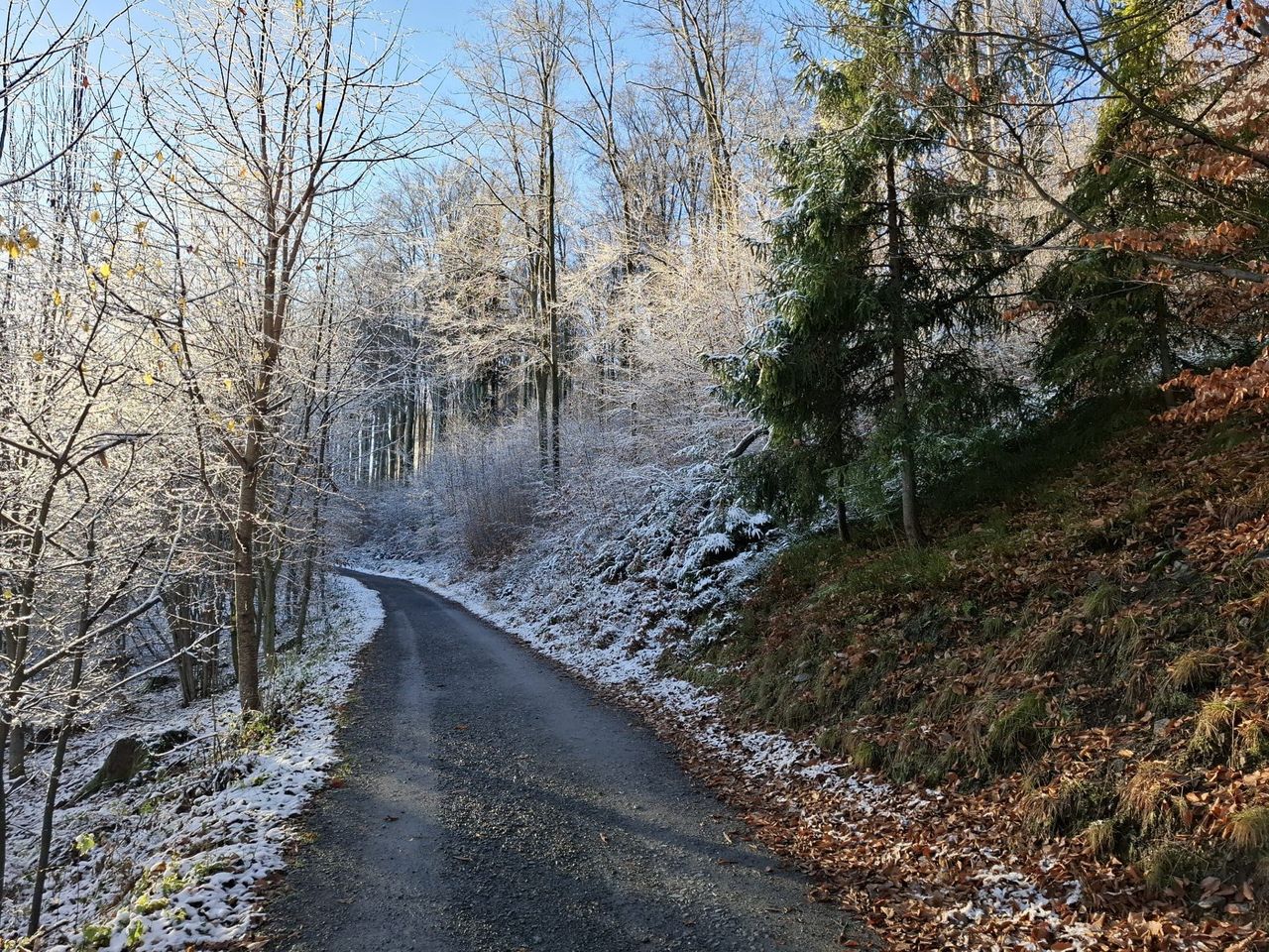 Prognoza pogody na weekend. Będzie śnieg i mróz, a w nocy gęste mgły