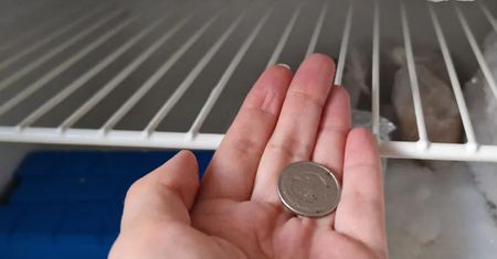 Wyjeżdżasz na urlop? Nie zapomnij włożyć złotówki do zamrażarki