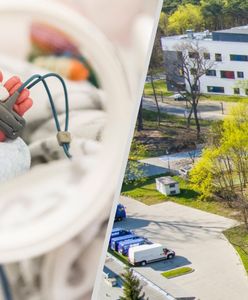 "Cud" w Toruniu. Jeden taki przypadek na pół miliona
