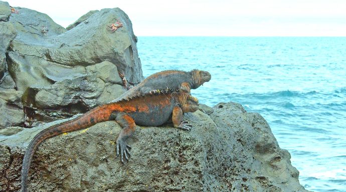 Galapagos - na skraju świata