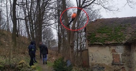 Uciekł na dach, a następnie na drzewo. Tak chował się przed policja