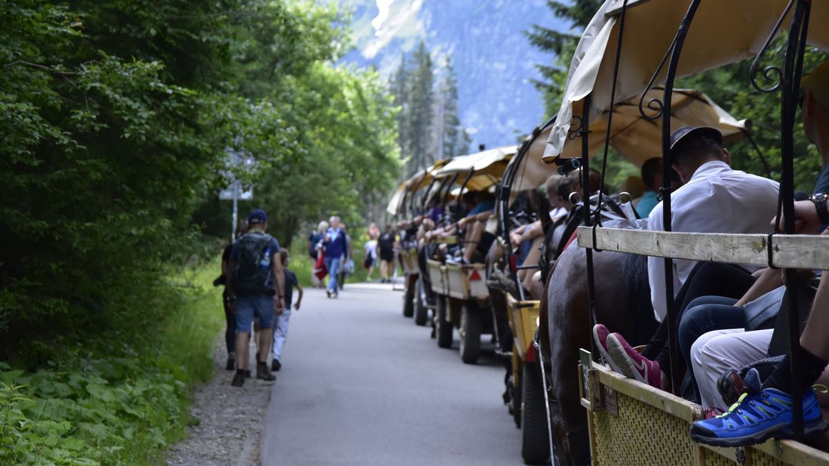 Fasiągi w drodze nad Morskie Oko 