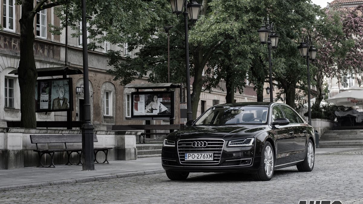 Zdjęcie ilustracyjne do artykułu