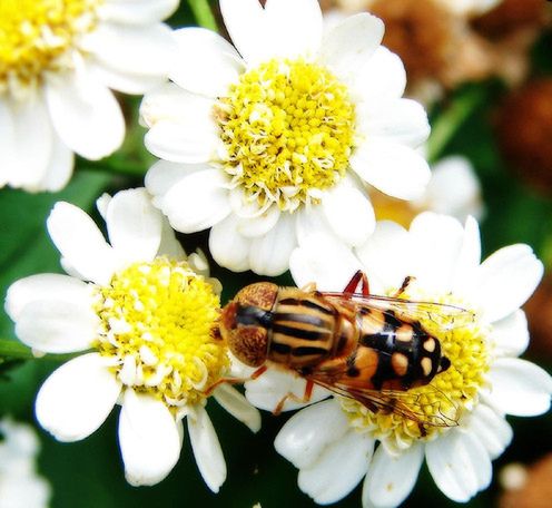 7 sposobów na rozwijające i modne zabawy z fotografią 7