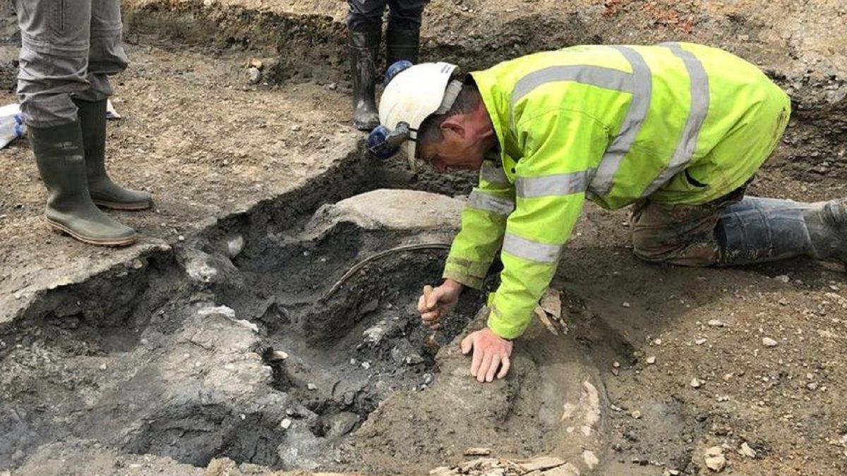 Kości mają ponad 200 tys. lat.