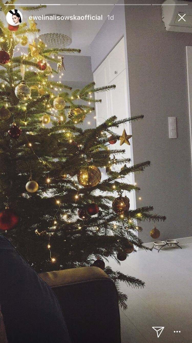 Ewelina Lisowska - choinki gwiazd na święta 2017