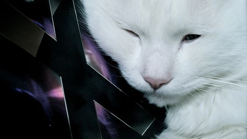 „Świeżo upieczony jabłecznik” - 5 cech, za które lubię komputery i system Apple 1