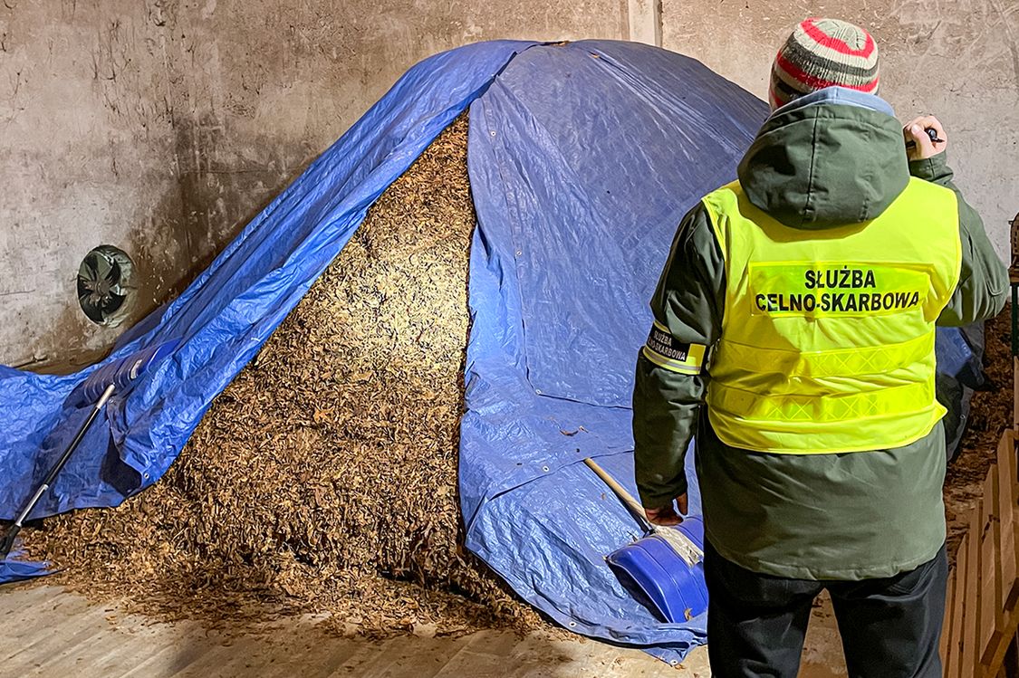 Zlikwidowana krajalnia, przejęte ponad 31 ton tytoniu.