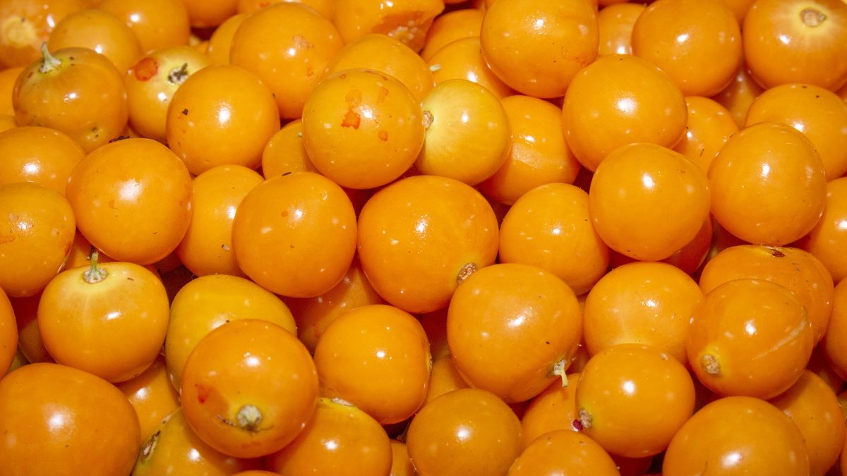 Bogata w antyoksydanty i składniki odżywcze