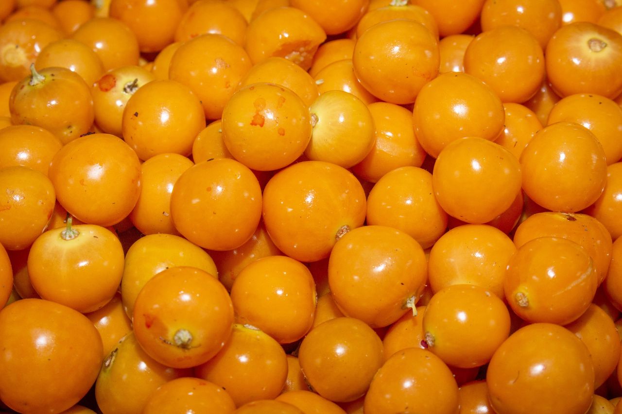 Nazywana złotą jagodą. Obniża poziom glukozy, wspiera pracę pęcherza