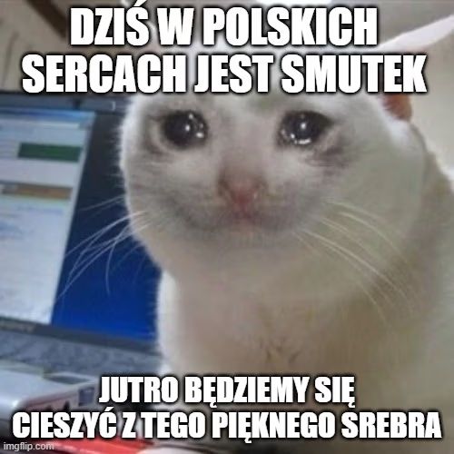 Memy z polskimi siatkarzami po finale na igrzyskach (internet)