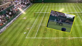 Środki bezpieczeństwa zawiodły. Zakłócili mecz Wimbledonu