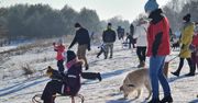 Poznań: Zima wróciła, a wraz z nią – górki saneczkowe. Miasto otwiera bezpieczne miejsca do zimowych zabaw