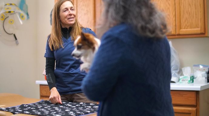 Weterynarz z powołania