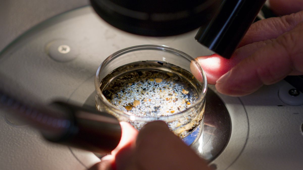 Nowe urządzenie sprawdzi ilość mikroplastiku w przedmiotach