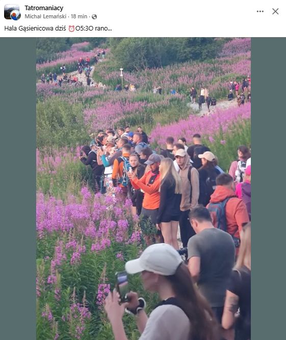 Sceny o 5:30 w Tatrach.