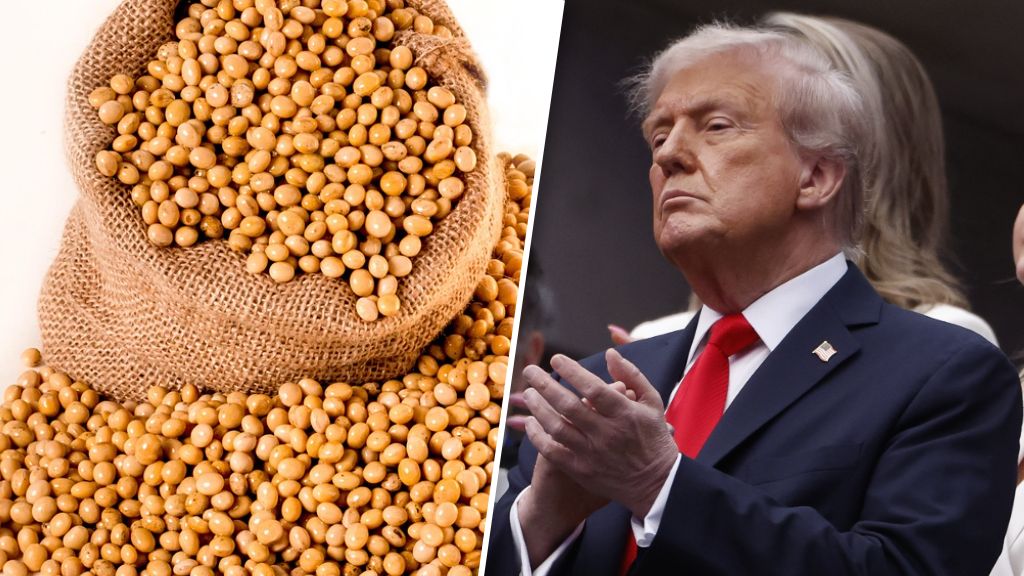 Co z amerykańską produkcją soi?