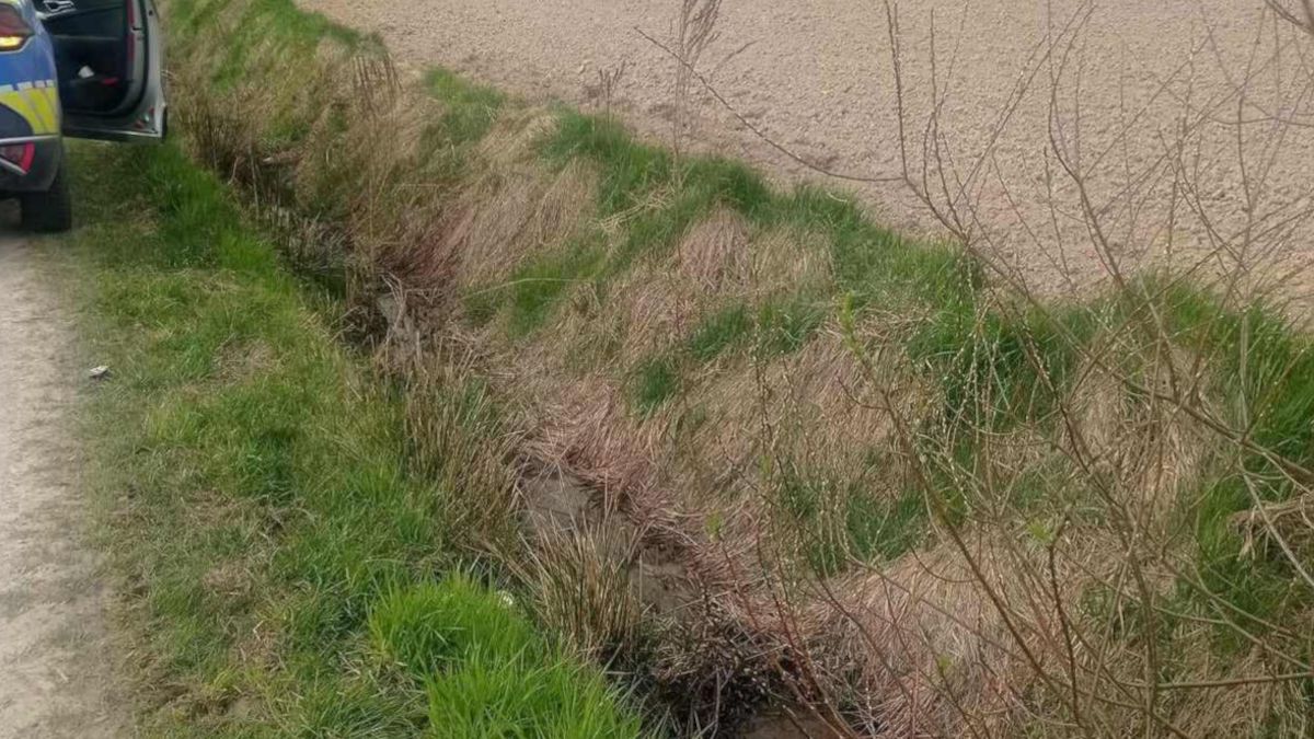 Niezwykłe znalezisko w rowie melioracyjnym.