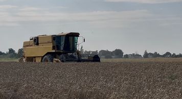 Burza nadciąga, zboże mokre. Rolnicy ruszają, nim będzie za późno