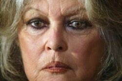 Brigitte Bardot ma 70 lat