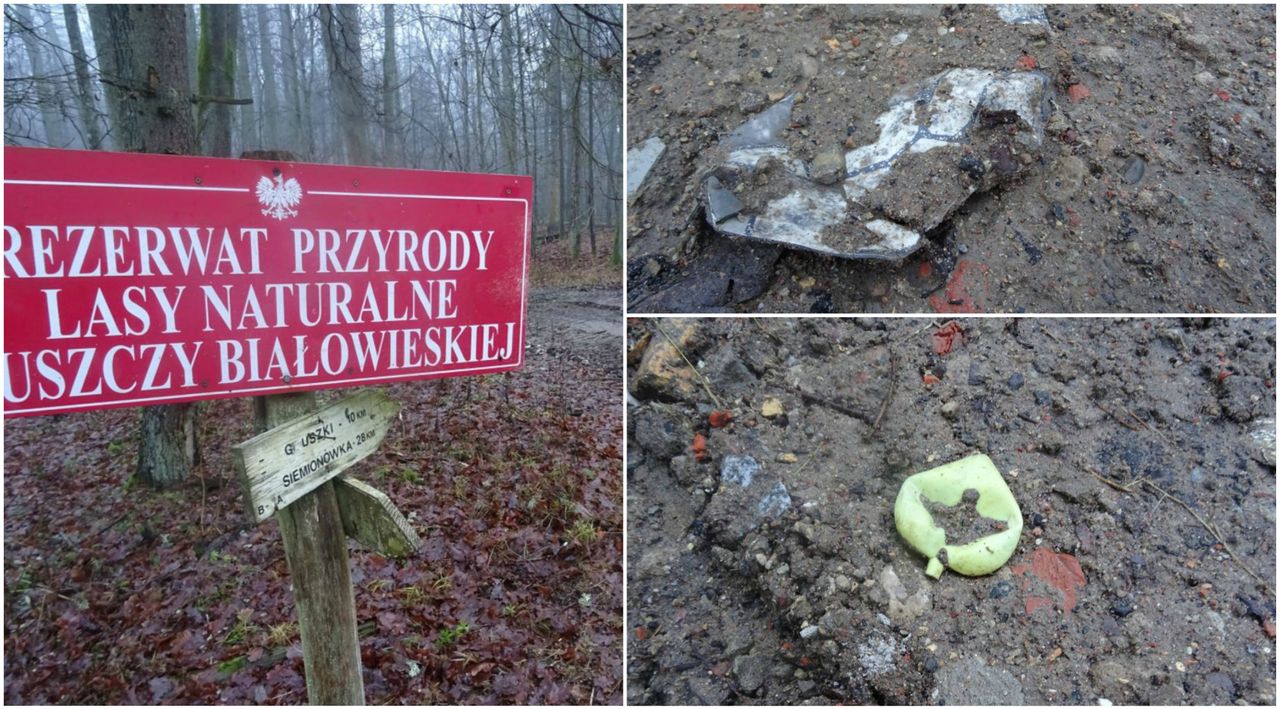 Tak ukrywa się koleiny po harvesterach w Puszczy Białowieskiej. Zasypują je śmieciami