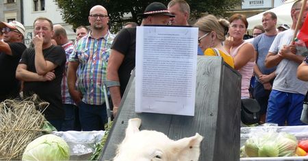 Rolnicy po spotkaniu z premierem w Sandomierzu dostają mandaty. "To nowe 500+"