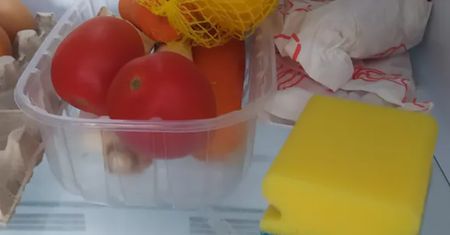 Chcesz się pozbyć uciążliwego problemu? Włóż gąbkę do lodówki