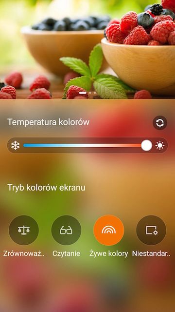 Asus ZenFone 2 (ZE551ML) z 4 GB pamięci RAM - test i recenzja 42