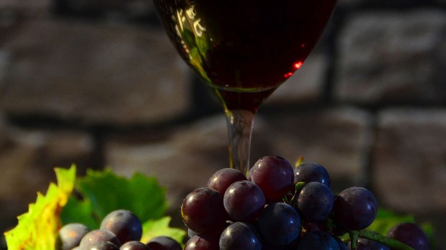 Wino stołowe barbera (czerwone)