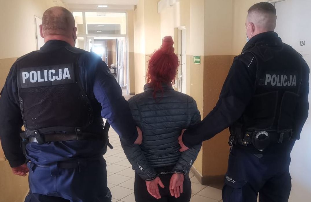 Gdańsk. Wyrzuciła kota przez okno. Zwierzak nie przeżył 
