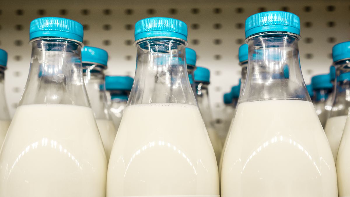 Dlaczego nabiał może szkodzić stawom?