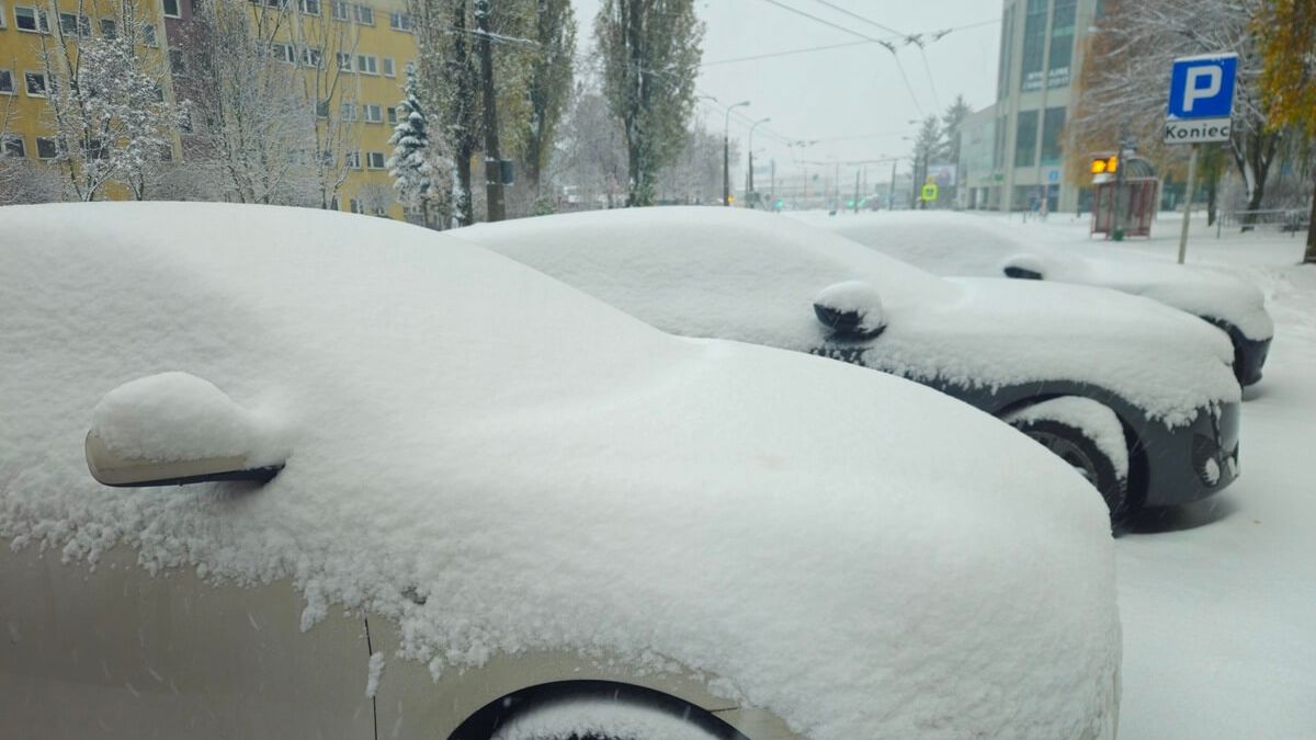 Samochody pokryte śniegiem