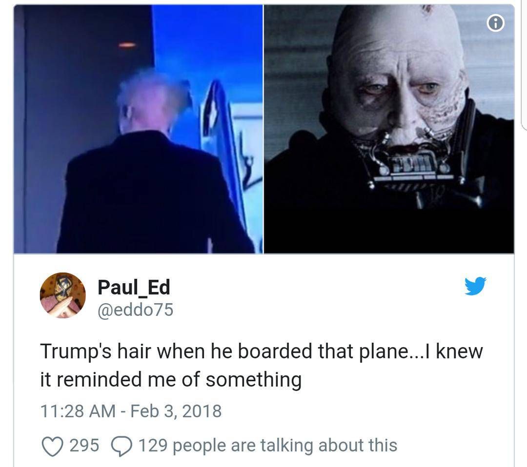 Twitter, Donald Trump włosy