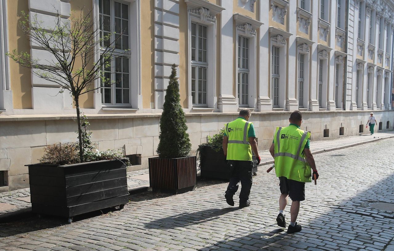Szczecin: Kwiaty w donicach zostały podlane po naszej interwencji. Już nie szpecą