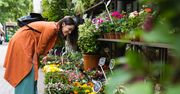 Nowy Sącz: Festiwal Roślin. Będą kolekcjonerskie perełki i nowości