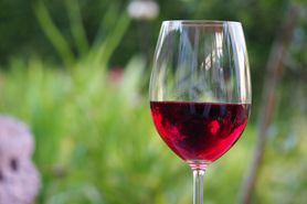 Wino stołowe sangiovese (czerwone)