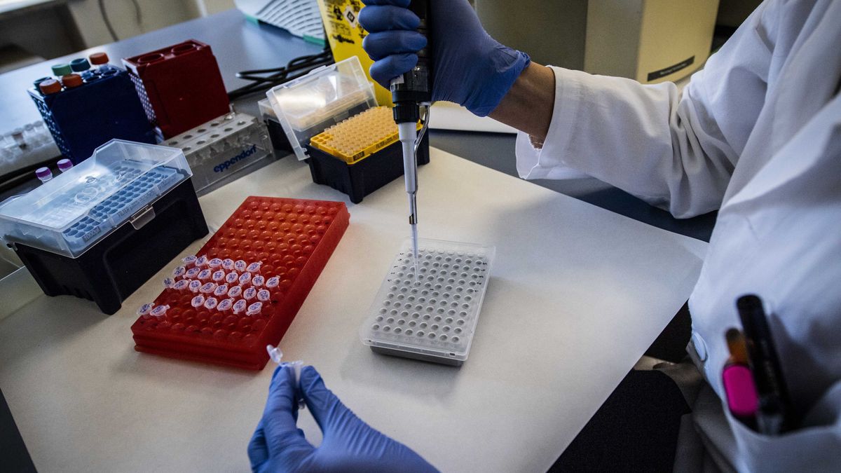 Rejestr wesel przeciwko koronawirusowi, a obawy o złamanie RODO