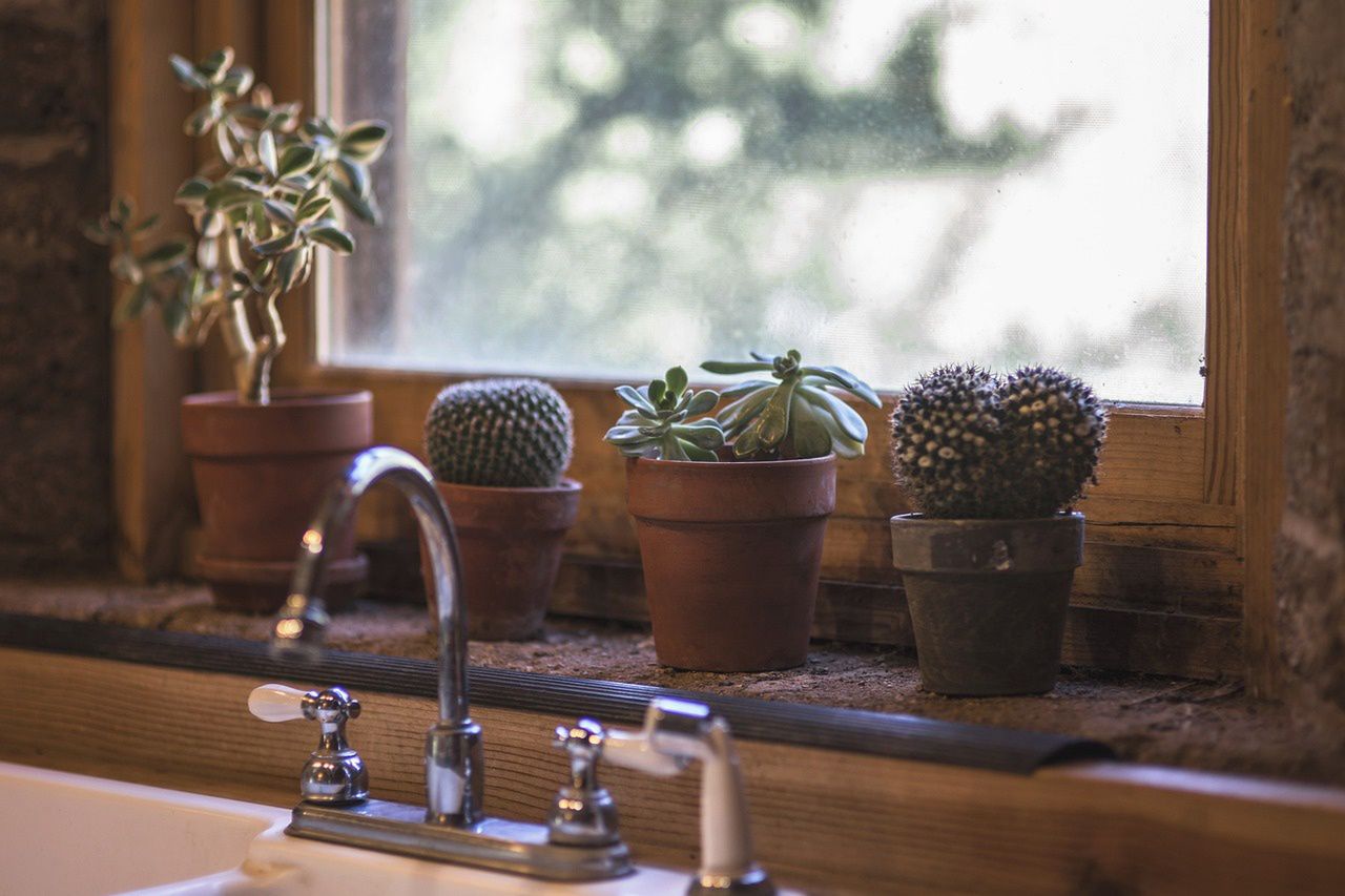 The largest habitats of bacteria in your kitchen