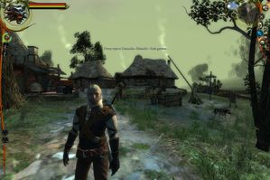 The Witcher: Enhanced Edition