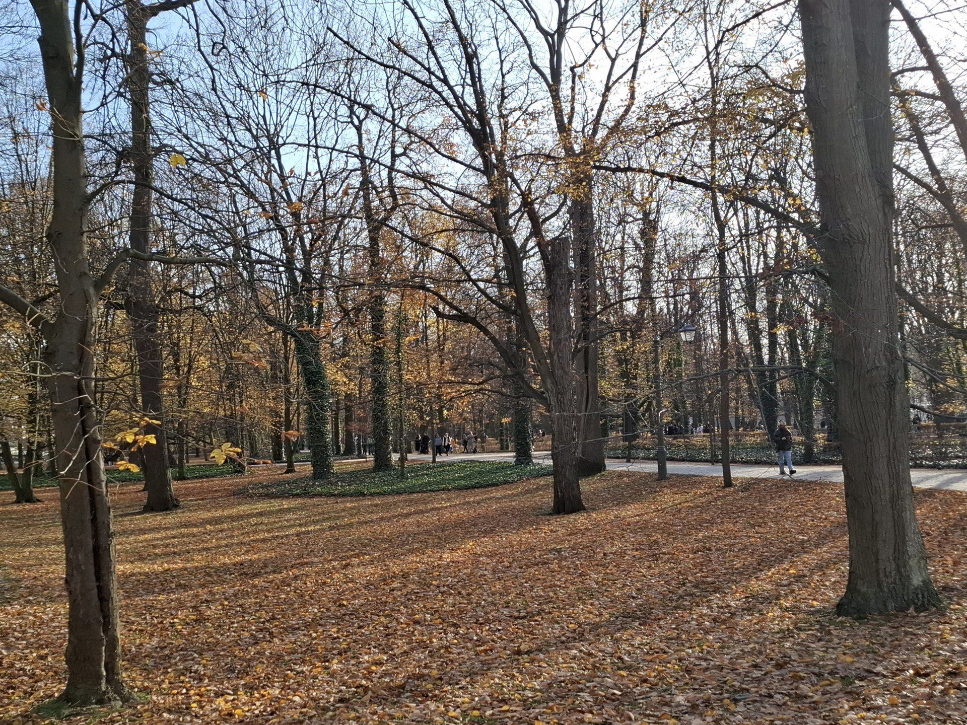 Łazienki Królewskie jak z filmu. Alejki pokryły się złotem jesieni. Jest przepięknie