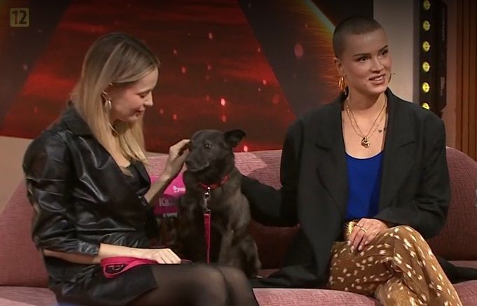 Paulina Gałązka i Maffashion o Dniu Kundelka w PNŚ