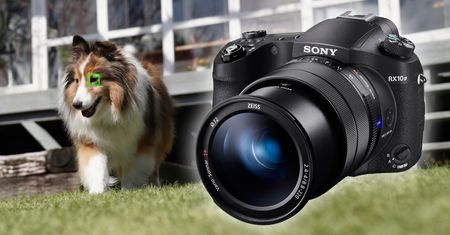 Sony RX10 IV otrzymał wykrywanie oka zwierząt w aktualizacji
