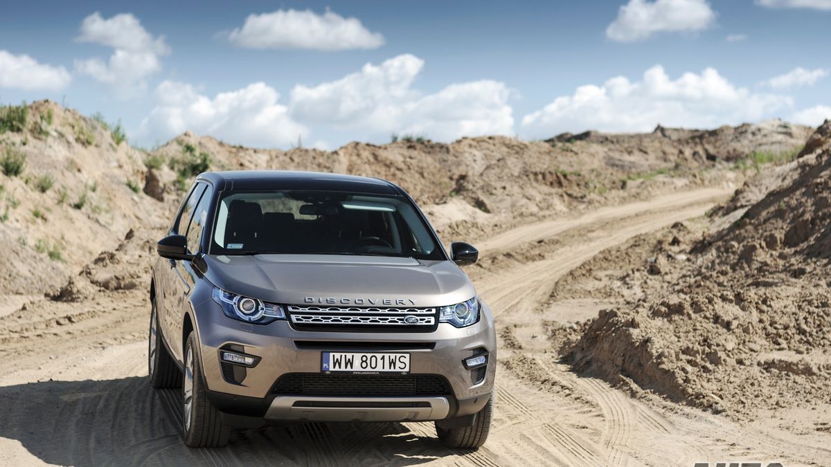 Zdjęcie ilustracyjne do artykułu